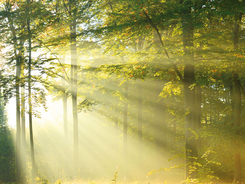 jansen-westerveld-terschuur-1 Jansen Uitvaartzorg - jansen westerveld terschuur 1 1