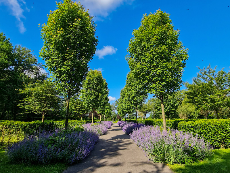 jansen-westerveld-terschuur Jansen Uitvaartzorg - jansen westerveld terschuur 1